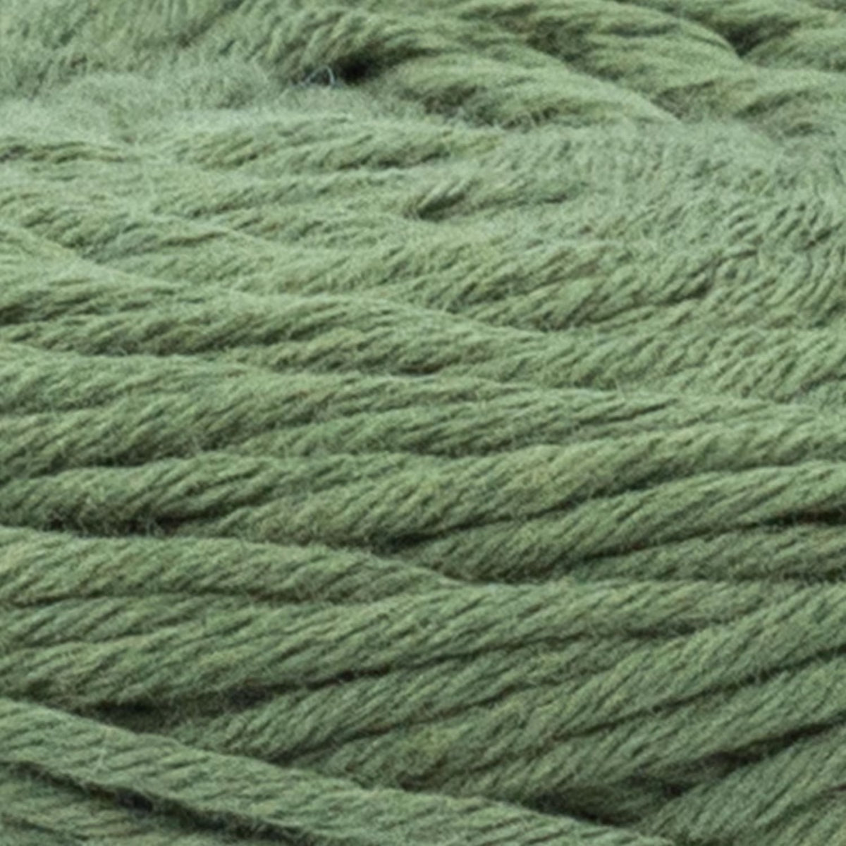 Attache-suce mini-boucle