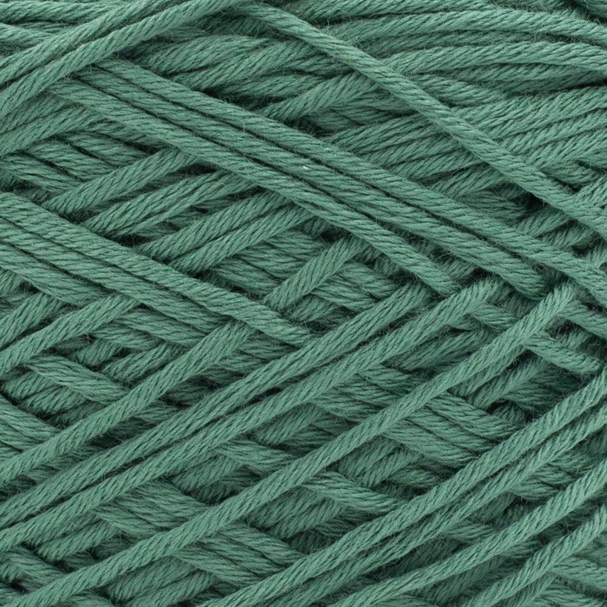 Attache-suce mini-boucle